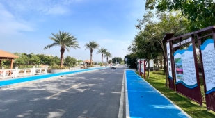 微信截图_20250114144033